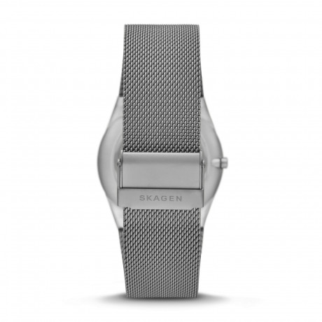 Наручные часы Skagen SKW6789