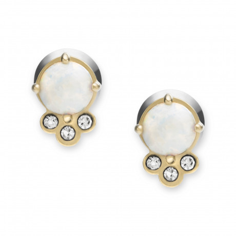 Серьги Fossil JF03876710