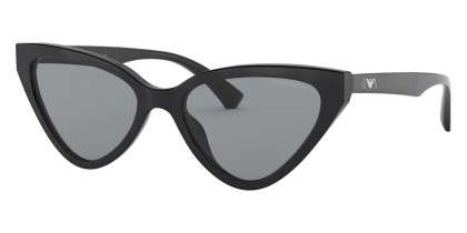 Очки Emporio Armani 0EA413650018755