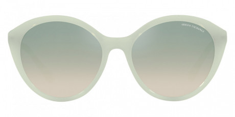 Очки Armani Exchange 0AX4134S8160W055