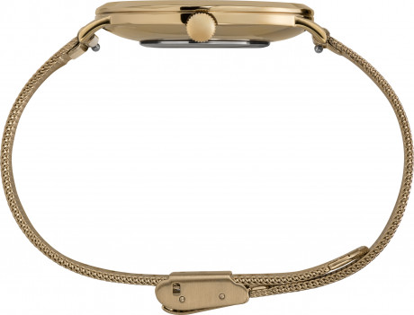 Часы наручные Timex TW2U67100