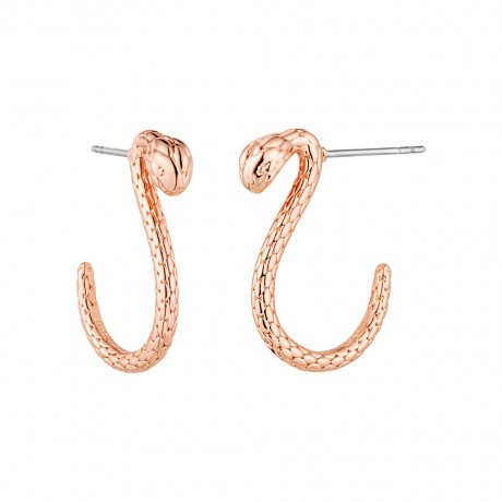 Серьги Just Cavalli JCER01763300