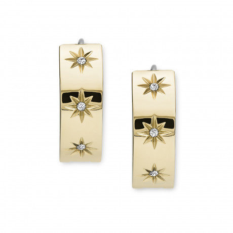 Серьги Fossil JF03870710