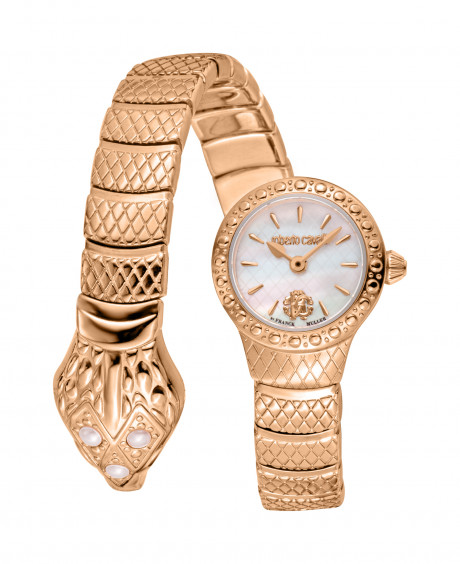 Часы наручные Roberto Cavalli by Franck Muller RV1L224M0041