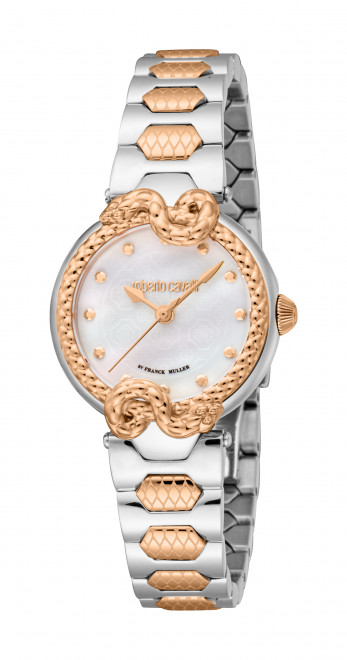 Часы наручные Roberto Cavalli by Franck Muller RV1L253M0081