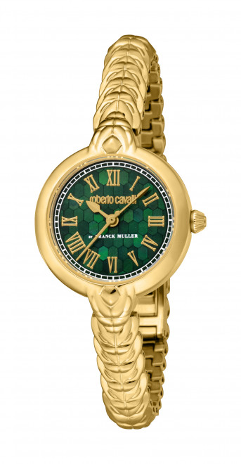 Часы наручные Roberto Cavalli by Franck Muller RV1L239M0031