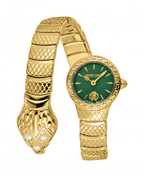 Часы наручные Roberto Cavalli by Franck Muller RV1L224M0031