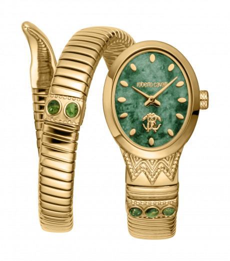 Часы наручные Roberto Cavalli RC5L104M0025