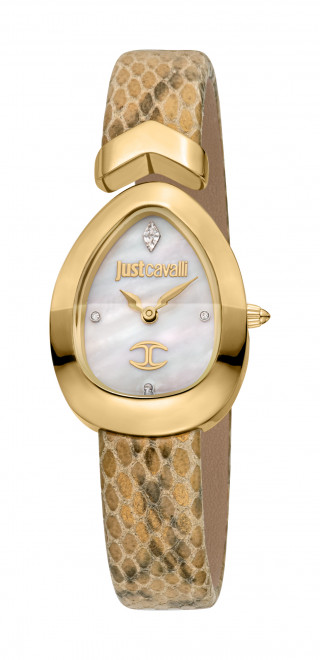 Часы наручные Just Cavalli JC1L321L0025