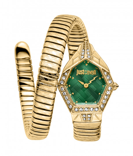 Часы наручные Just Cavalli JC1L303M0035