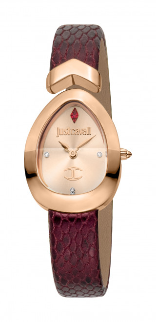 Часы наручные Just Cavalli JC1L321L0045