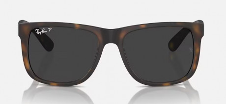 Очки  Ray Ban 0RB4165F865/8755