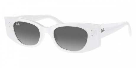 Очки  Ray Ban 0RB442767591149