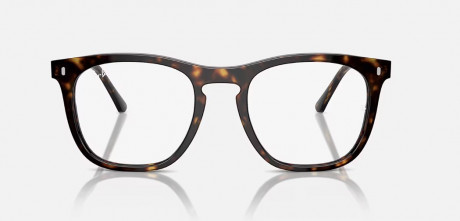 Оправа Ray Ban 0RX2210VF201253
