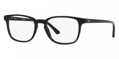 Оправа Ray Ban 0RX5418200054