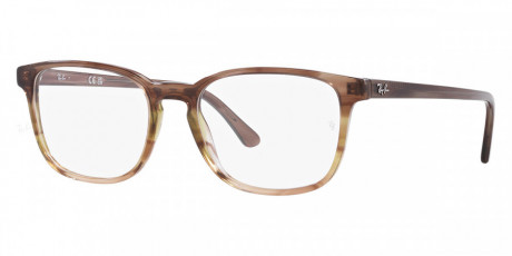Оправа Ray Ban 0RX5418825556