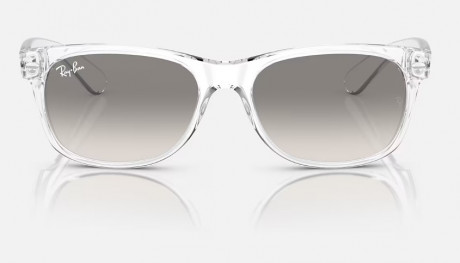 Очки Ray Ban 0RB213267743255