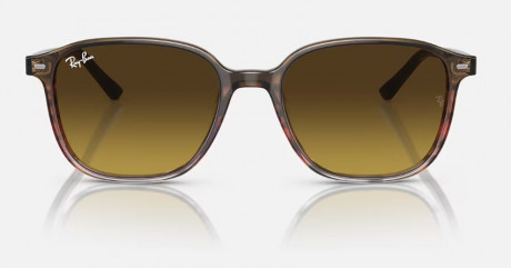 Очки Ray Ban 0RB219313808555