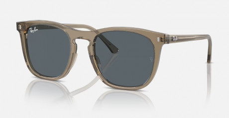 Очки Ray Ban 0RB2210F6765R553