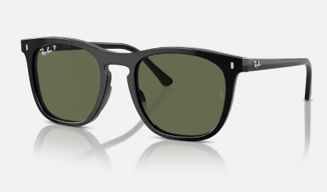Очки Ray Ban 0RB2210F901/5853