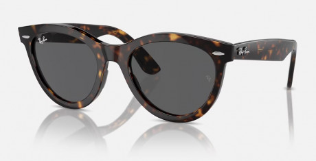 Очки Ray Ban 0RB2241F902/B154