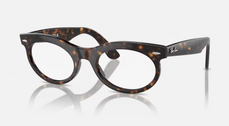 Оправа Ray Ban 0RX2242VF201253