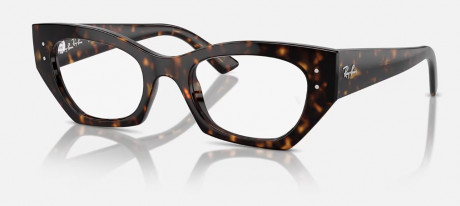 Оправа RAY BAN 0RX7330F832049