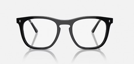 Оправа Ray Ban 0RX2210VF200053