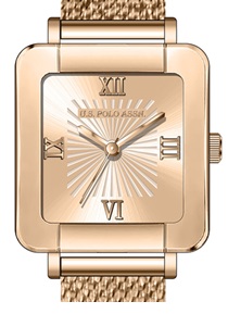 Часы наручные U.S. Polo Assn. USPA2097-06
