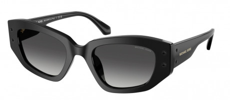 Очки Michael Kors 0MK2234B30058G50