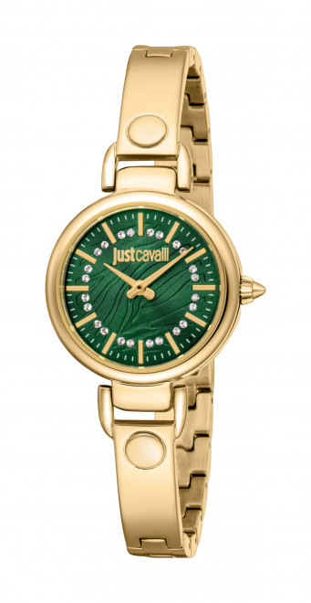 Часы наручные Just Cavalli JC1L381M0045