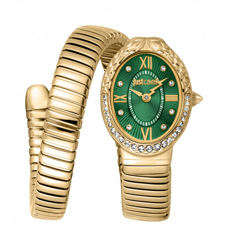 Часы наручные Just Cavalli JC1L390M0035