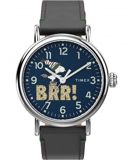 Часы наручные Timex TW2V60700