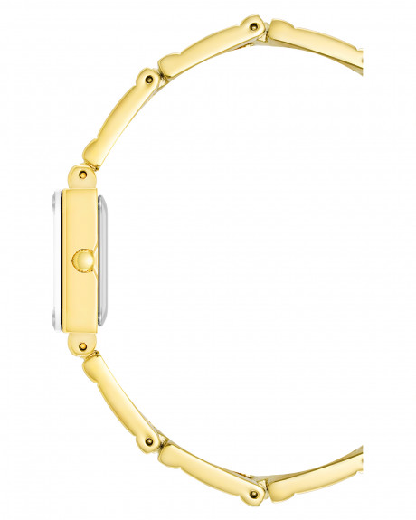 Часы наручные Anne Klein 4898CHGP