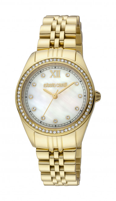 Часы наручные Roberto Cavalli RC5L036M0055